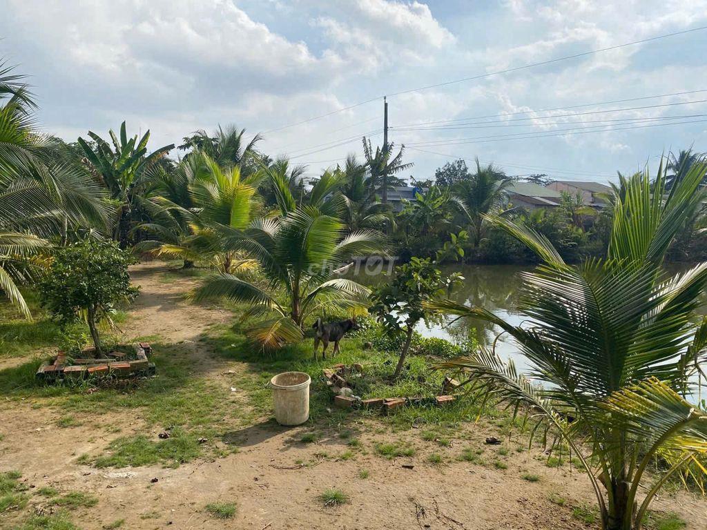 Bán nhà, đất, xưởng 5.500 m2 mặt tiền QL60 - Cách TP. Trà Vinh chỉ 4km