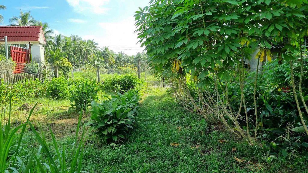 ĐẤT xây biệt thự gần chợ cầu Xây
