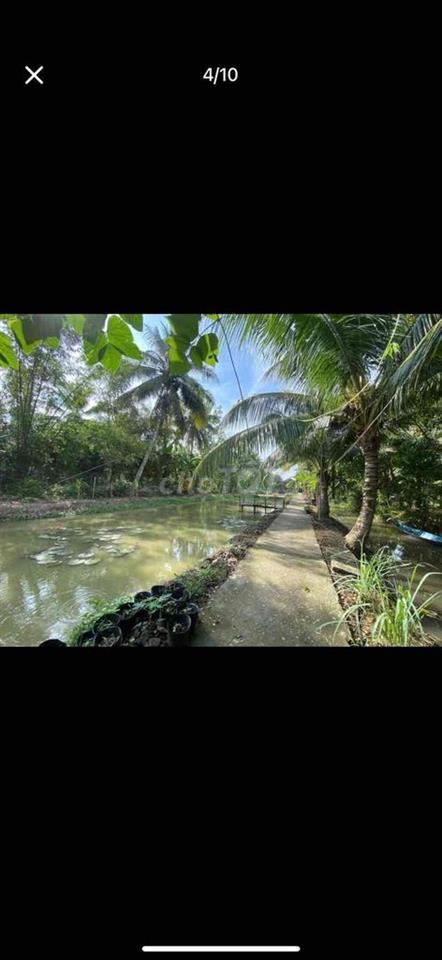 nền lớn - đất công - giá phải chăng
