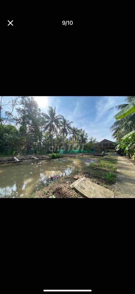 nền lớn - đất công - giá phải chăng