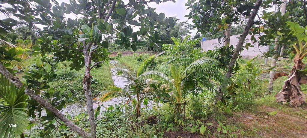 Bán đất mặt đường Bưng cây sắn