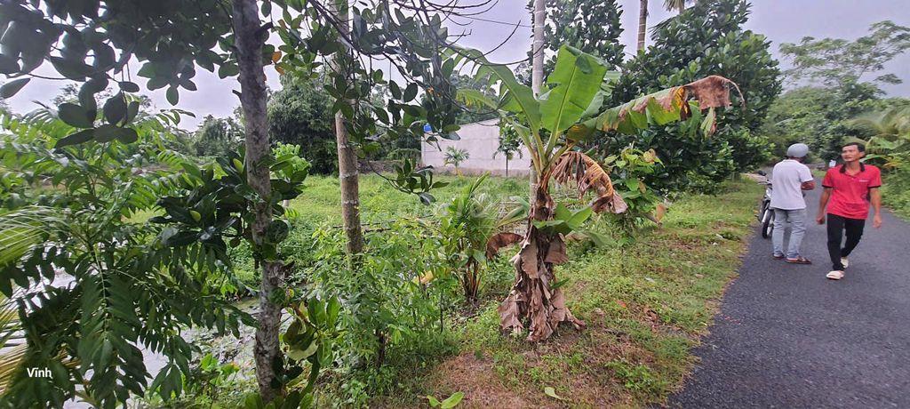 Bán đất mặt đường Bưng cây sắn