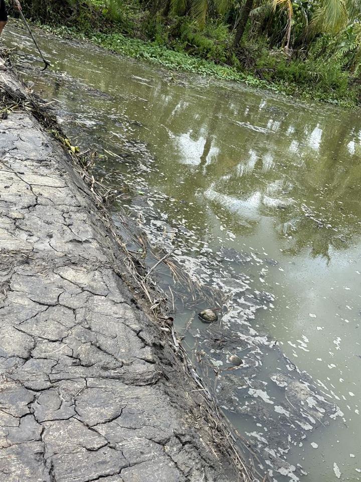 Đất vườn gần dự án Khu Đô Thị Du Lịch  Nghỉ Dưỡng MEKONG CẦN THƠ