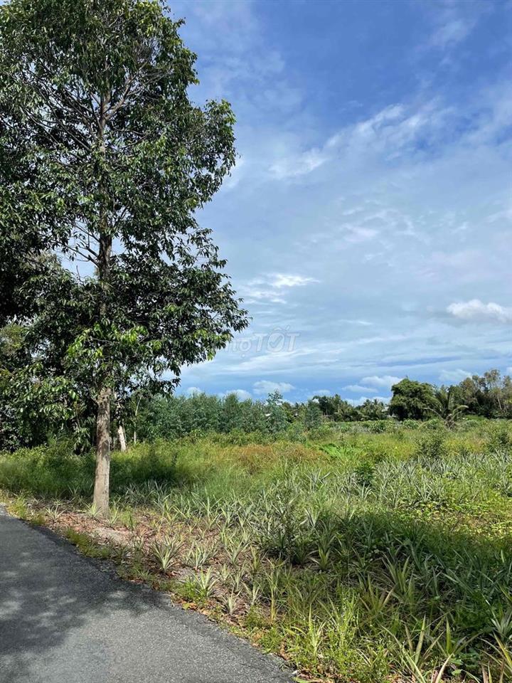 BÁN NỀN GIÁ RẺ 165tr