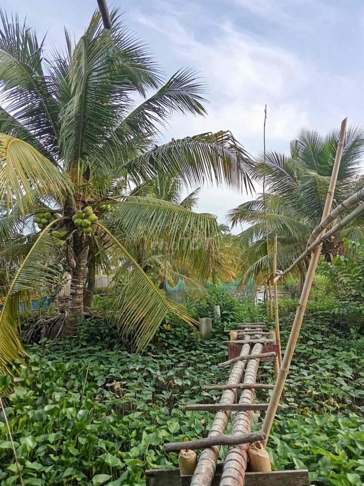 Cần bán đất vườn vị trí đẹp
