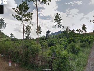 CHUYỂN NHƯỢNG 6.000M² VƯỜN BẢN PÁT, CHIỀNG SINH