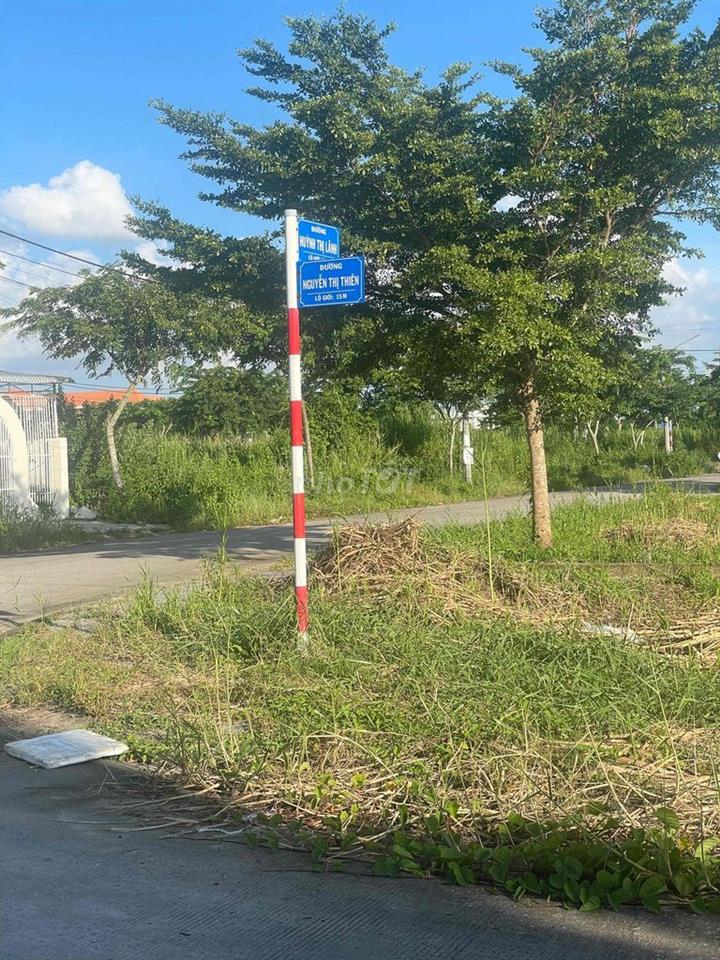 Nền đẹp giá tốt