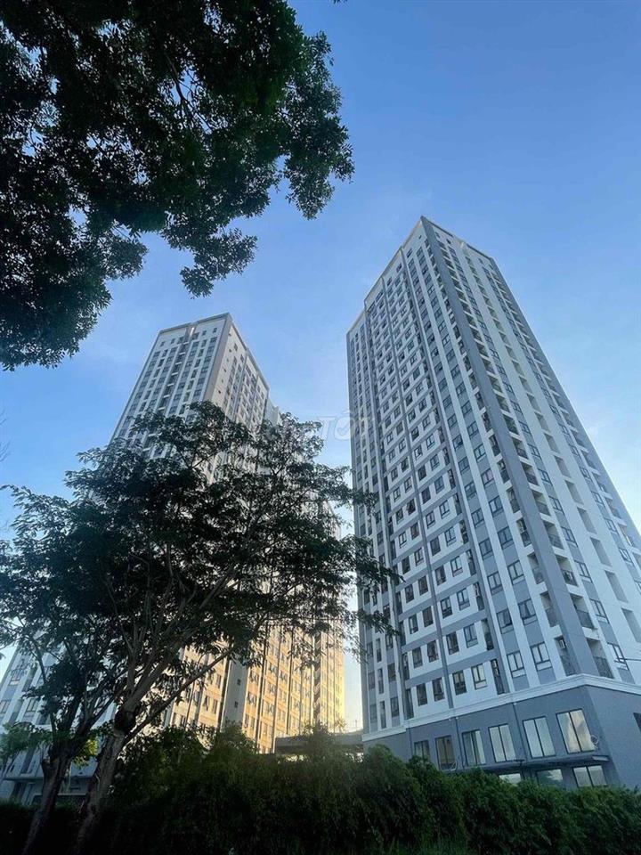 CHO THUÊ SÀI GÒN INTELA(Saigon Intela) 5,5tr nhà trống, 6tr có NT