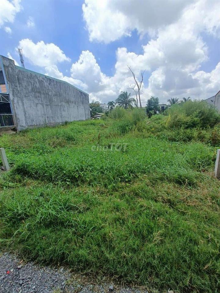 Bán đất Bính Chánh