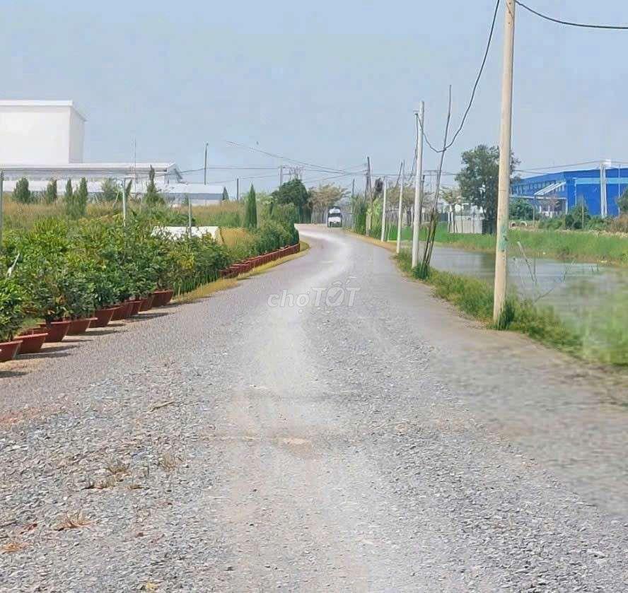 Cho thuê 9500m2 đất vườn MT kênh đường Vườn Thơm xã bình Lợi HBC 