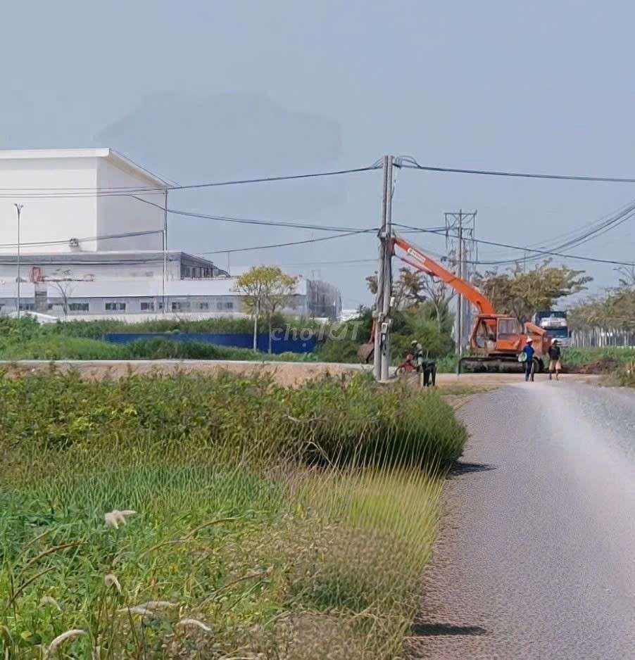 Cho thuê 9500m2 đất vườn MT kênh đường Vườn Thơm xã bình Lợi HBC 