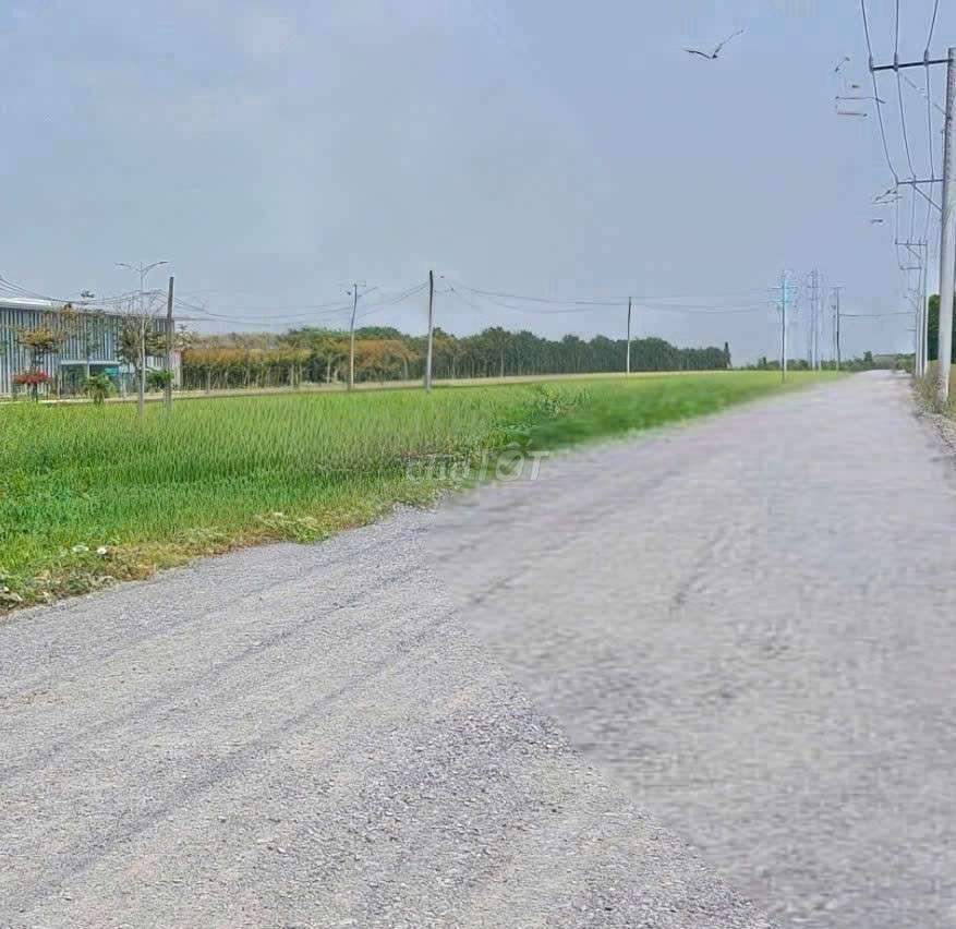 Cho thuê 9500m2 đất vườn MT kênh đường Vườn Thơm xã bình Lợi HBC 