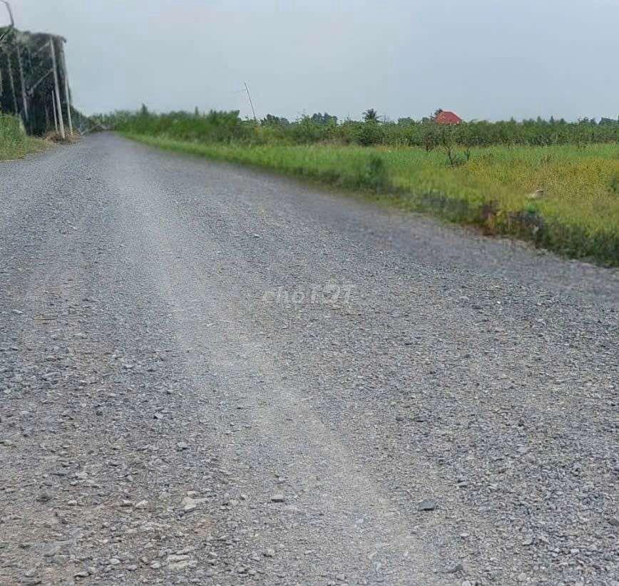 Cho thuê 9500m2 đất vườn MT kênh đường Vườn Thơm xã bình Lợi HBC 