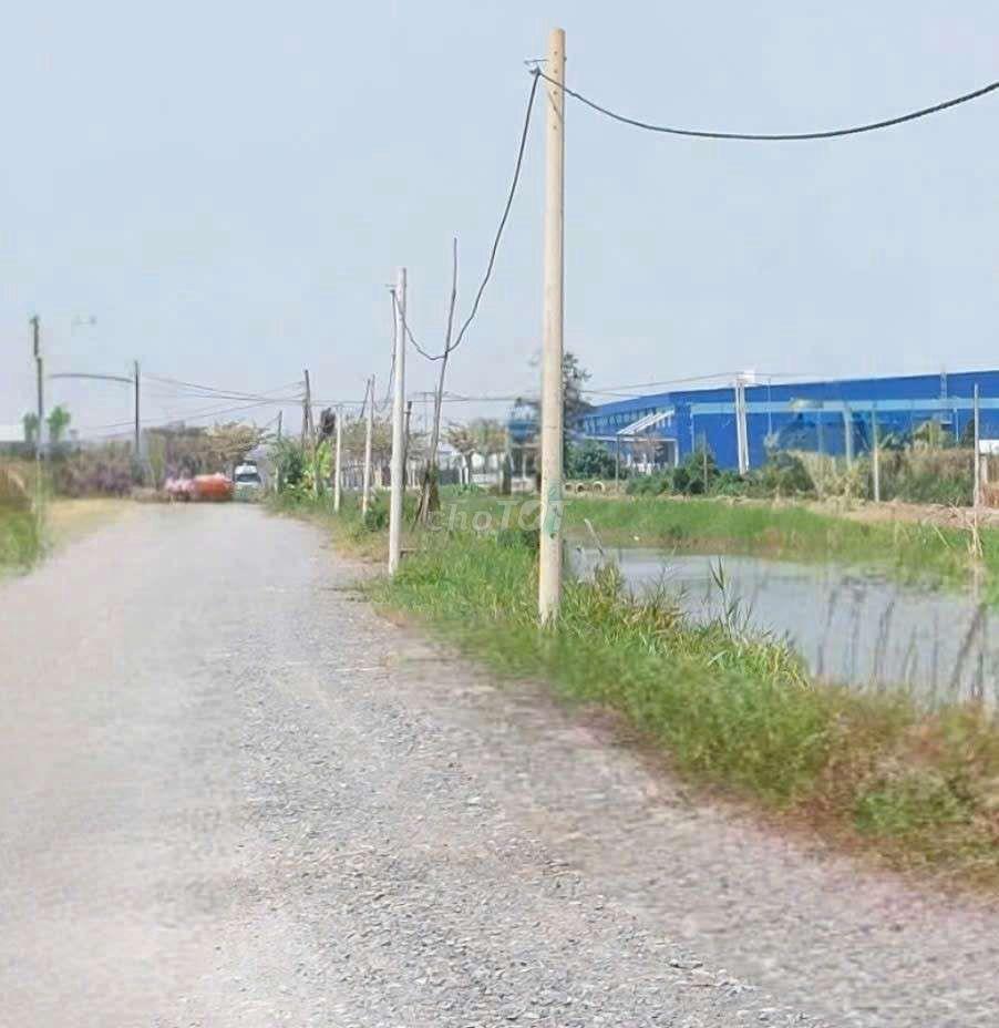 bán nhà vườn 10000m2 MT kênh đường Vườn Thơm xã bình Lợi HBC 