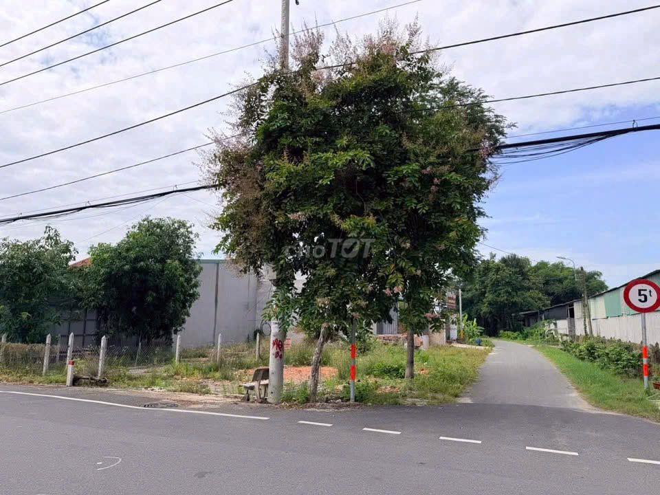 HÀNG NGỘP THỞ - RẺ CHẤN ĐỘNG! CHỈ 795 CỦ CÓ NGAY 140M2 ĐẤT THÁI MỸ