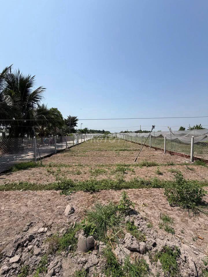 🔥 SIÊU PHẨM CỦ CHI! 501M2 PHƯỚC VĨNH AN MT ĐƯỜNG NHỰA GIÁ TRỈ 1 TỶ 200