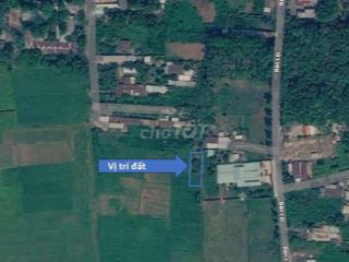 Đất trồng cây lâu năm tại xã Phú Hòa Đông, Củ Chi