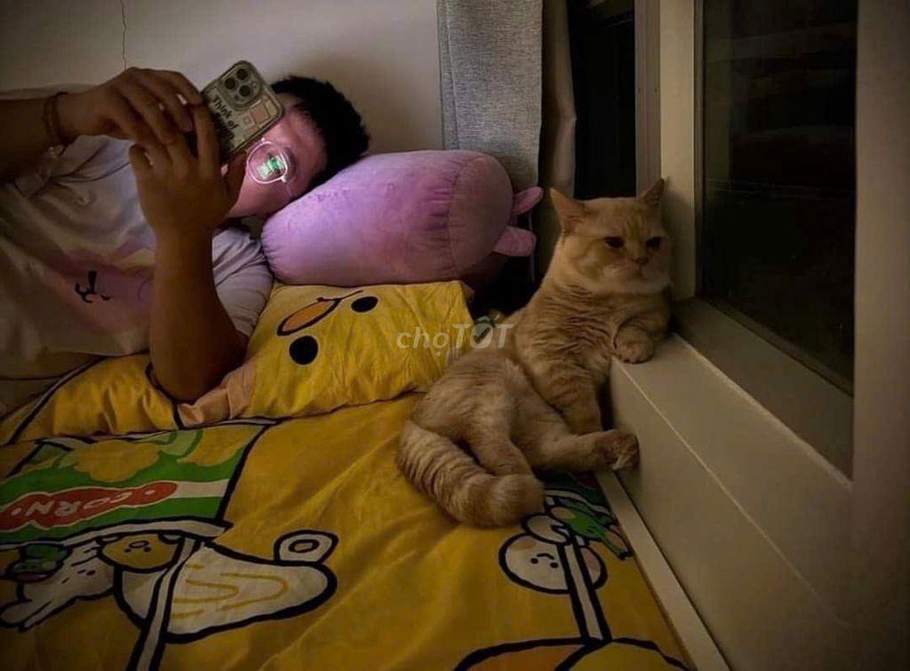 HOT HOT – CHÍNH CHỦ CẦN BÁN CĂN HỘ QUẬN 4 – GIÁ TỐT