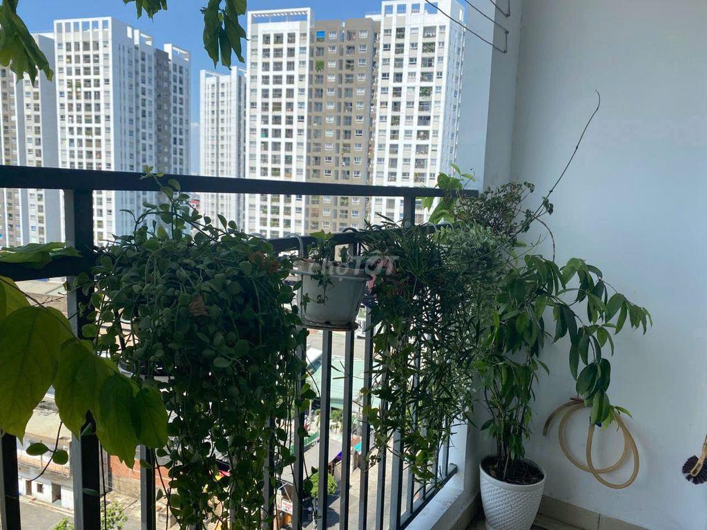 cần bán căn hộ chung cư Richstar 2 PN, 2 TL, view Hòa Bình