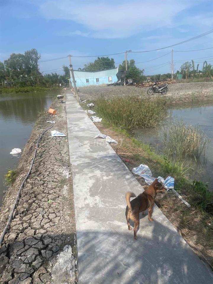 càn bán nền đất xã bình khánh, cần giò, chính chủ bán,