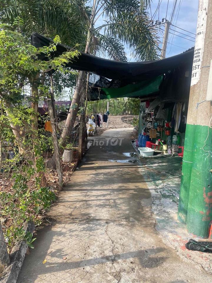 càn bán nền đất xã bình khánh, cần giò, chính chủ bán,