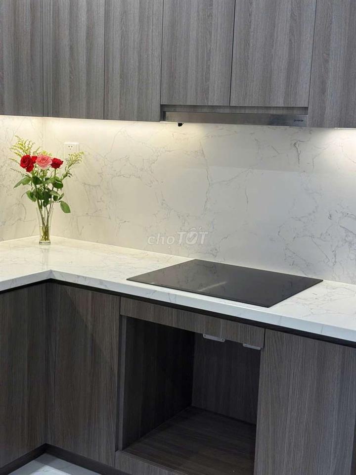 Cho thuê căn hộ 1PN+1 , 54 m2 Vinhomes Grand Park