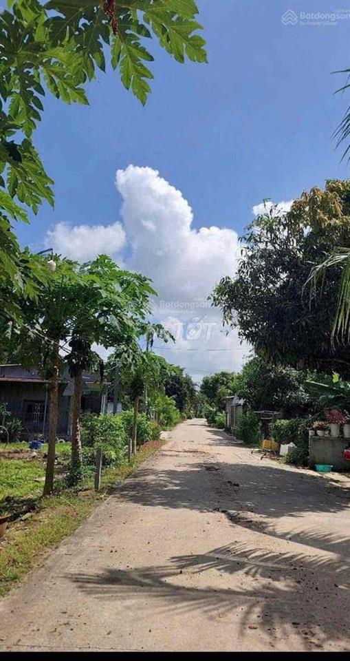 Bán đất Bàu Bàng