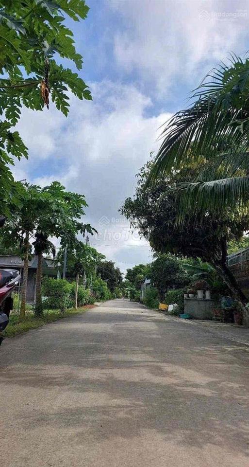 Bán đất Bàu Bàng
