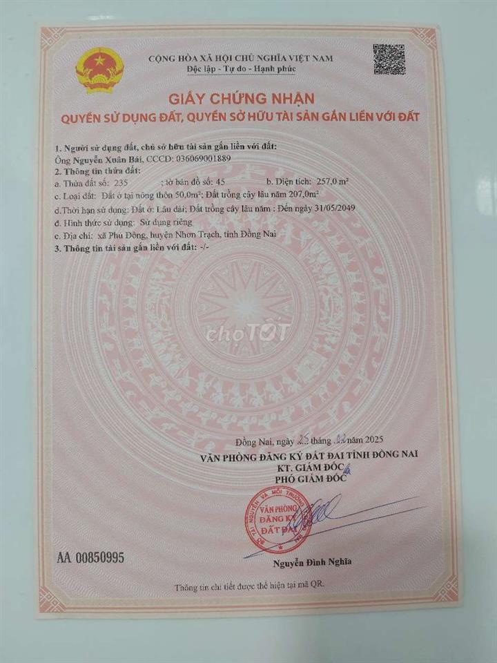 cần tiền bán 