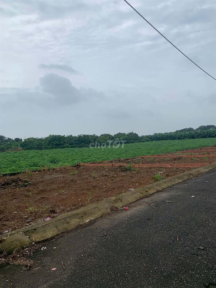 Bán Đất Ngay Mặt Tiền Tại Đông Hòa Trảng Bom