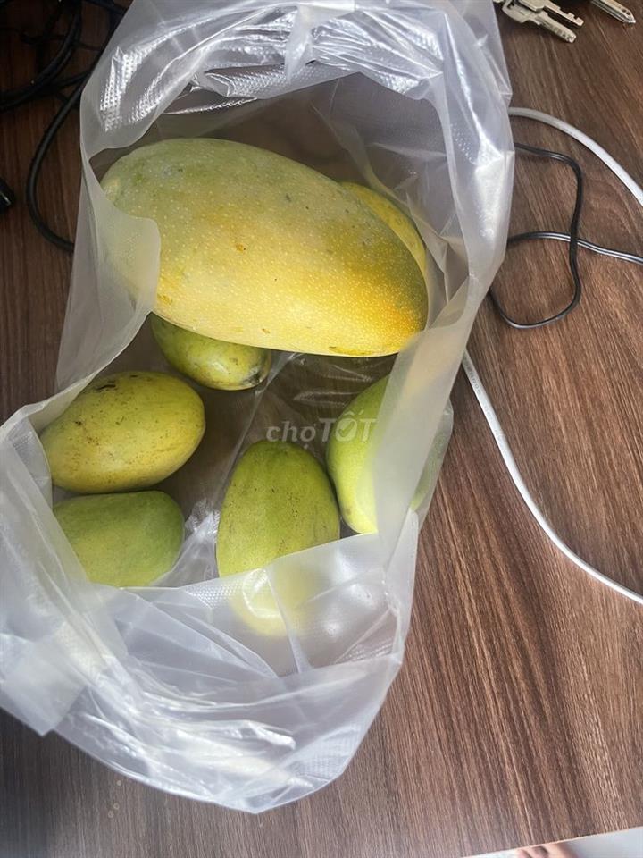 Đất Nông nghiệp tại Phước Lâm, Ninh Xuân (Tân Định), Khánh Hoà