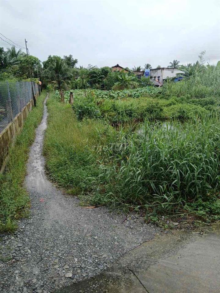 Bán đất gần Agora City