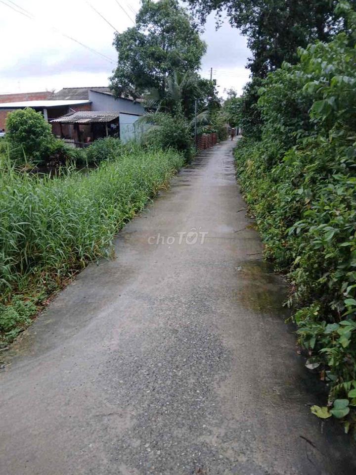 Bán đất gần Agora City