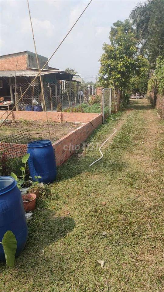 cần bán gấp đất Long An