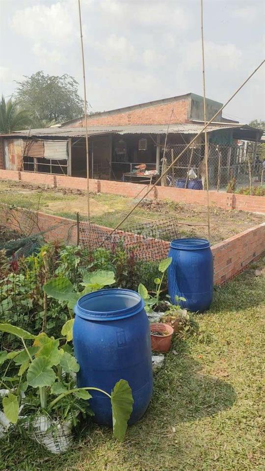 cần bán gấp đất Long An