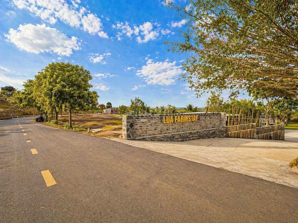 CHỈ TỪ 350 TRIỆU SỞ HỮU ĐẤT LÚA FARM STAY - VIEW CÁNH ĐỒNG