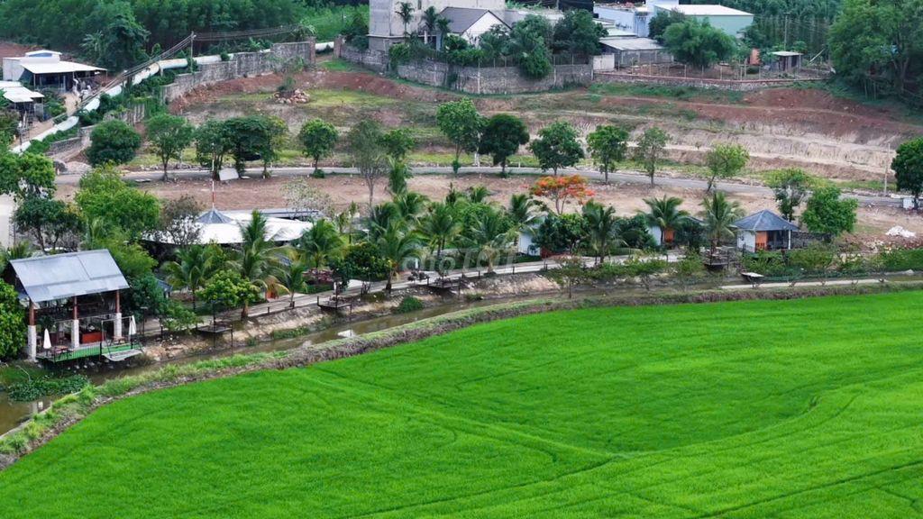CHỈ TỪ 350 TRIỆU SỞ HỮU ĐẤT LÚA FARM STAY - VIEW CÁNH ĐỒNG