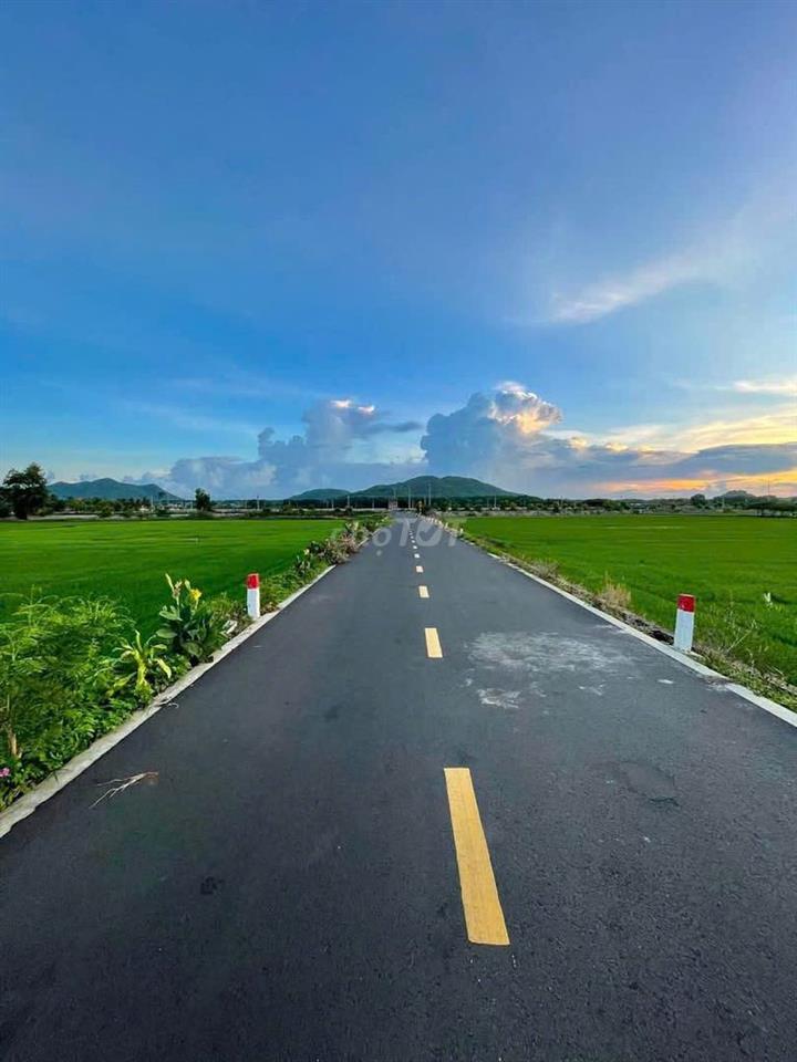 CHỈ TỪ 350 TRIỆU SỞ HỮU ĐẤT LÚA FARM STAY - VIEW CÁNH ĐỒNG