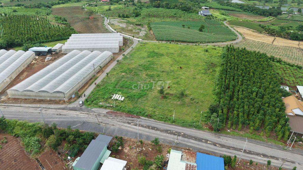 BÁN GẤP 2 LÔ LIỀN KỀ ĐT997 - NGÃ 6 ĐÁ BẠC - 240M²/LÔ - CHỈ 710 TRIỆU