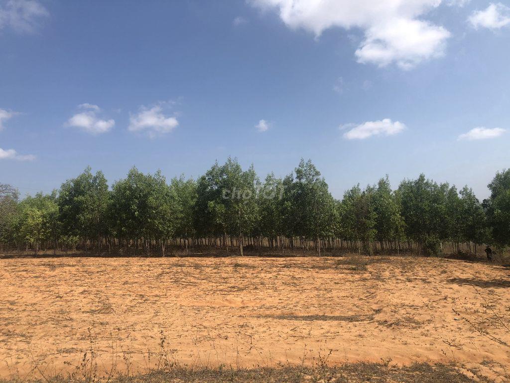 Đất Xã Hòa Thắng, Phan Thiet, Bình Thuận, Vietnam