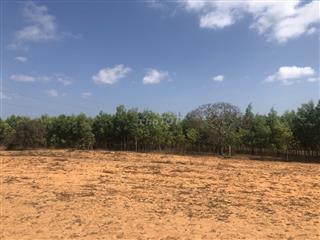 Đất Xã Hòa Thắng, Phan Thiet, Bình Thuận, Vietnam