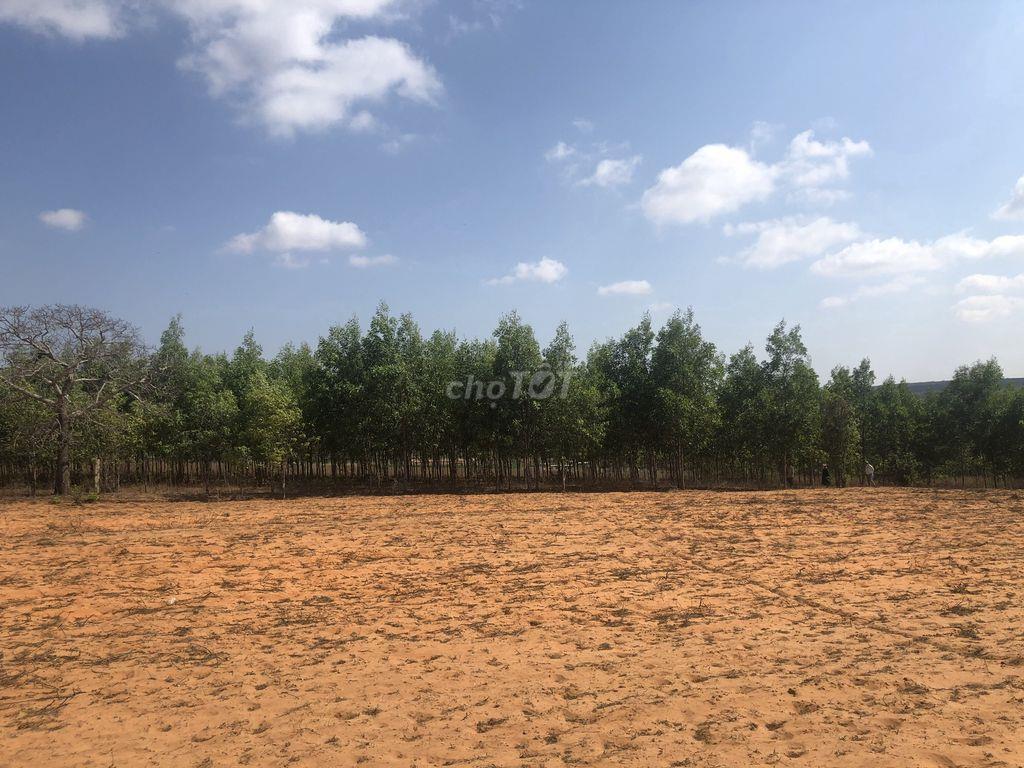 Đất Xã Hòa Thắng, Phan Thiet, Bình Thuận, Vietnam