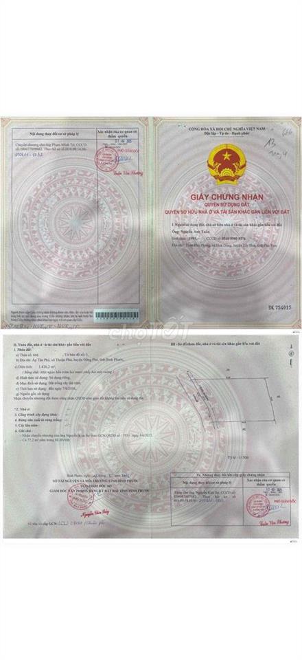 CHÍNH CHỦ BÁN 2 LÔ ĐẤT THUẬN PHÚ, ĐỒNG PHÚ, GIÁ RẺ
