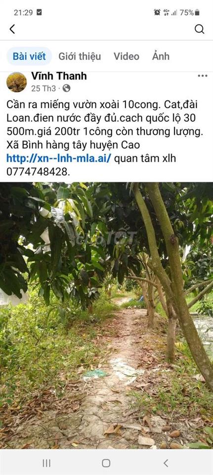 Bán đất ao cá mặt tiền đường nhựa cặp sông cái bèo