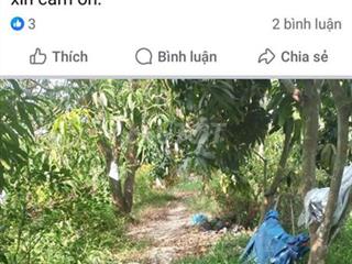 Bán đất ao cá mặt tiền đường nhựa cặp sông cái bèo