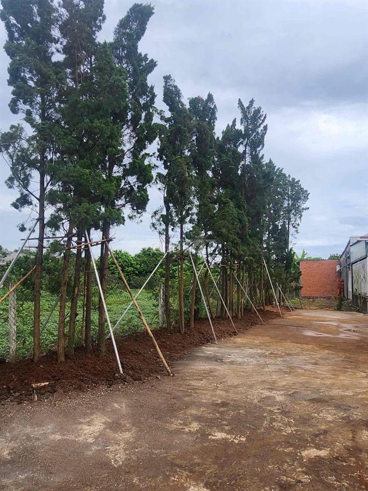 BÁN GẤP ĐẤT VÀ NHÀ VƯỜN NGHỈ DƯỠNG