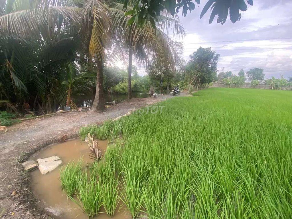 cần bán 4 công đất xã tân nhựt tp hcm