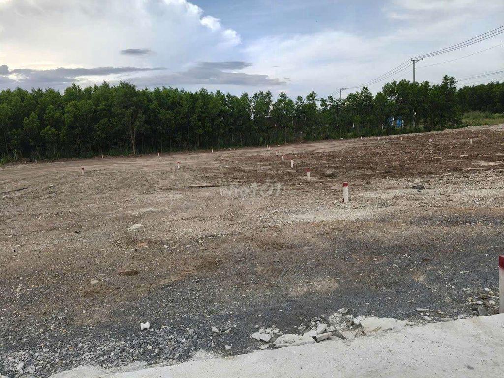 Đất Nhánh Phạm Hùng- Xã Đất Đỏ,TP.HCM