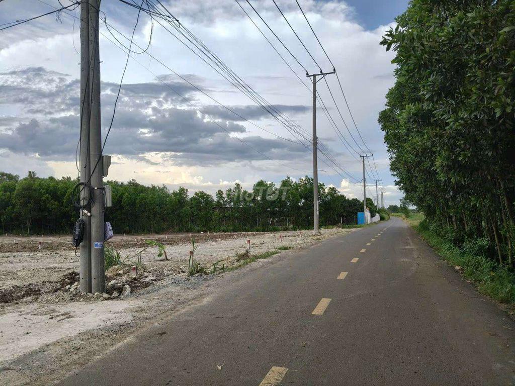 Đất Nhánh Phạm Hùng- Xã Đất Đỏ,TP.HCM