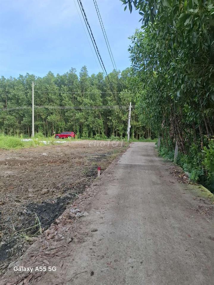 Đất Thích Hợp Xây Nhà Vườn - Phòng Trọ
